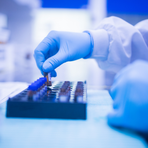 Sector Farmacéutico